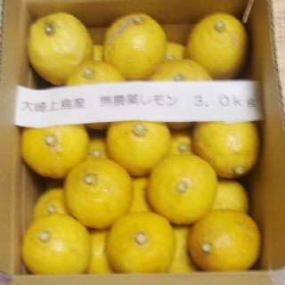 広島県大崎上島産無農薬レモン3.0kg(フルーツ)