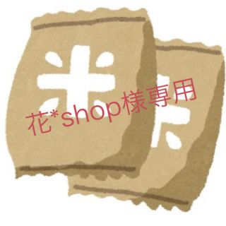 花*shop様専用★1等米！ななつぼし　玄米20kg お米　米　ブランド米　(米/穀物)