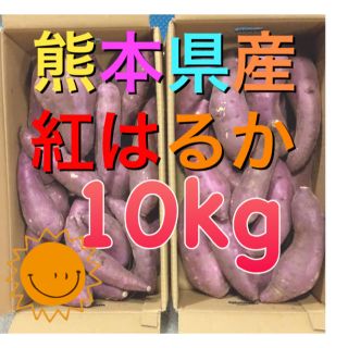 熊本県産紅はるか10kg(野菜)