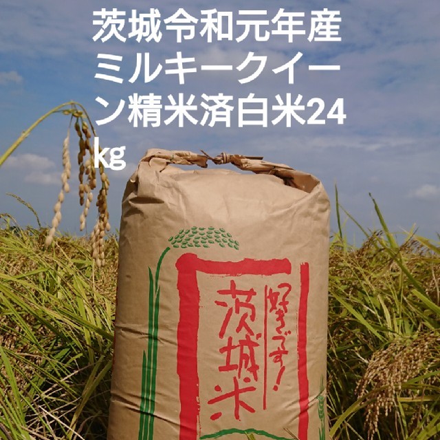 ○○◇○モデーア新品・未開封のミネラルソリューションズ3本 ○○◇○モデーア新品・未開封のミネラルソリューションズ3本