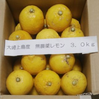 広島県大崎上島産無農薬レモン3.0kg(フルーツ)