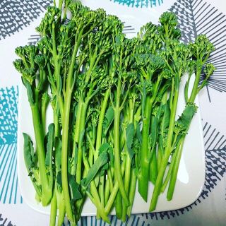 無農薬　スティックブロッコリー(野菜)