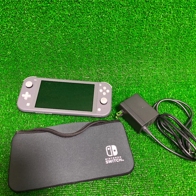 Nintendo Switch ニンテンドースイッチ ライトグレー　ケース付き