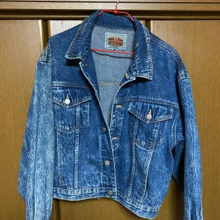 リーバイス(Levi's)のBIK JOHN(Gジャン/デニムジャケット)