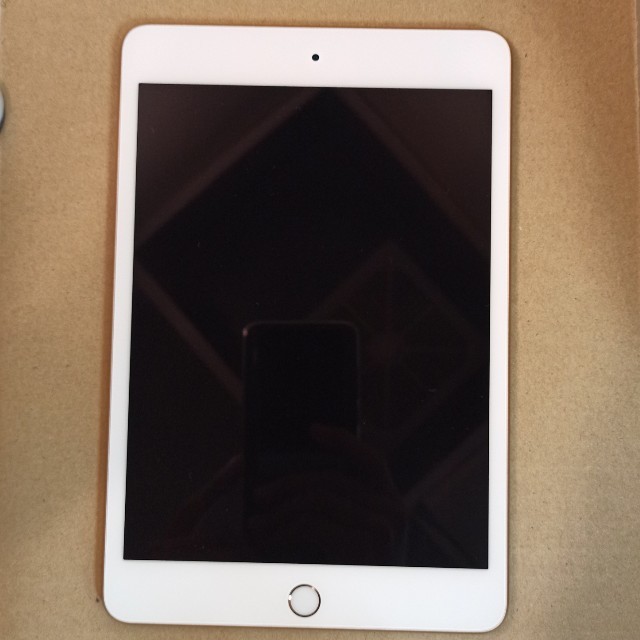 美品 iPad mini 5 (wifi 64GB ゴールド) 1