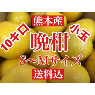 熊本産 河内晩柑(ジューシーオレンジ)  訳あり10キロ S〜M サイズ 送料込(フルーツ)