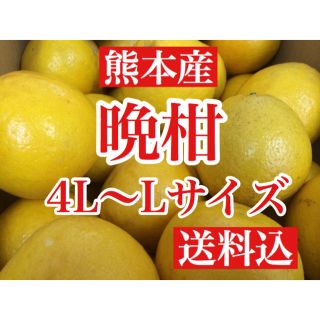 熊本産 河内晩柑(ジューシーオレンジ)  家庭用10キロ L〜4Lサイズ 送料込(フルーツ)