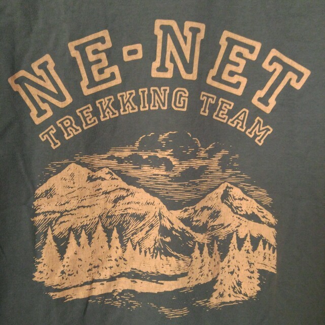 Ne-net(ネネット)のネネット五分丈Tシャツ☆ダスティブルー レディースのトップス(Tシャツ(半袖/袖なし))の商品写真