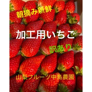 ❤️朝摘み新鮮加工用いちご・訳あり〜山梨県〜❤️(フルーツ)