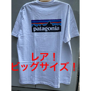 パタゴニア(patagonia)のパタゴニア　半袖　ＸＸＬサイズ(Tシャツ/カットソー(半袖/袖なし))
