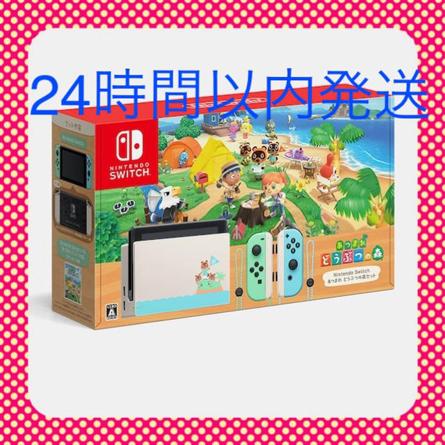 Nintendo Switch - Nintendo Switch あつまれどうぶつの森　同梱　セット