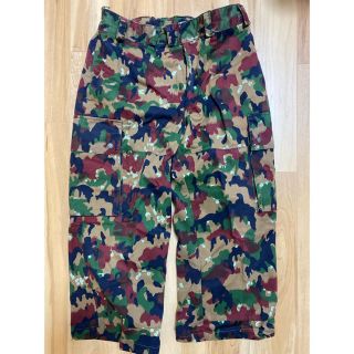 迷彩 AMEBA CAMO カーゴパンツ　米軍　ドイツ軍　ロシア軍(ワークパンツ/カーゴパンツ)