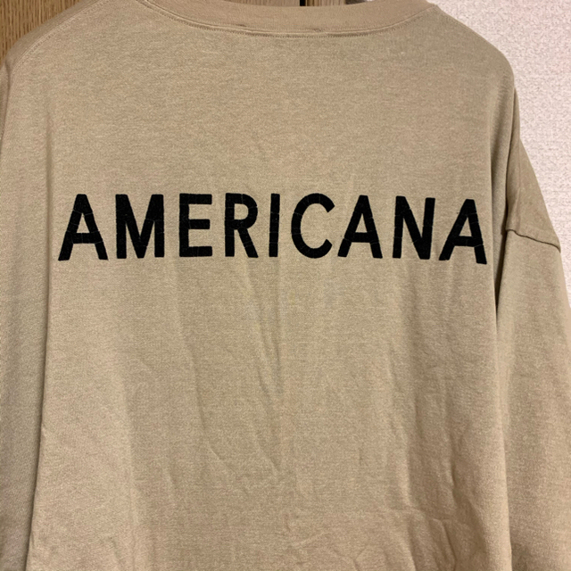 アメリカーナ サイドジップスウェット | orinocoorigen.com
