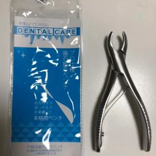 帝塚山ハウンドカム DENTAL CARE プロ仕様 歯石取りペンチ　未使用品(犬)