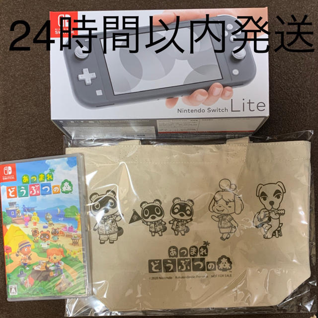 Nintendo Switch LITE グレー  24時間以内発送