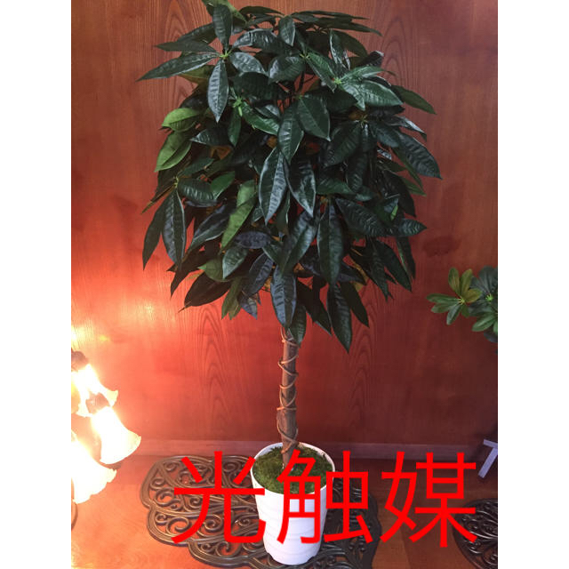 光触媒 人工観葉植物 抗菌消臭 パキラ13062