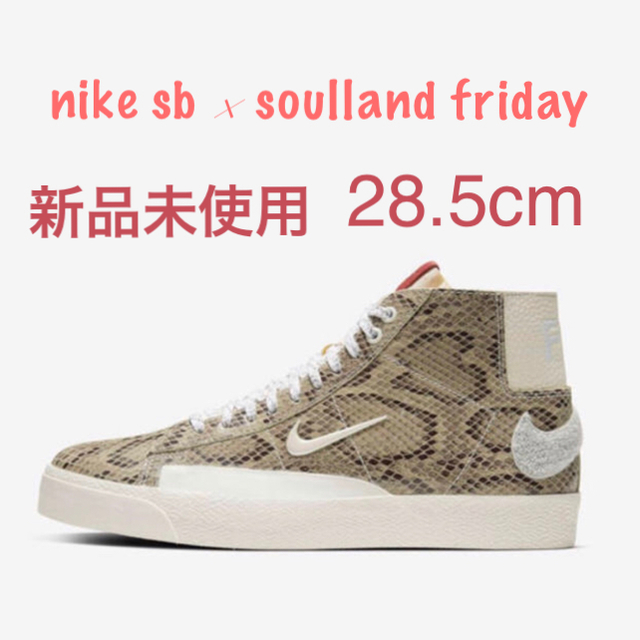 NIKE(ナイキ)のnike sb × soulland friday 28.5cm メンズの靴/シューズ(スニーカー)の商品写真