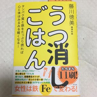 うつ消しごはん タンパク質と鉄をたっぷり摂れば心と体はみるみる軽く(健康/医学)