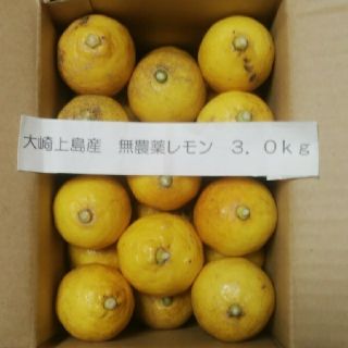 広島県大崎上島産無農薬レモン3.0kg(フルーツ)