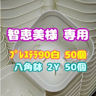 【智恵美様 専用】【スリット鉢】プレステラ90白50個+2Y白50個 多肉植物(プランター)