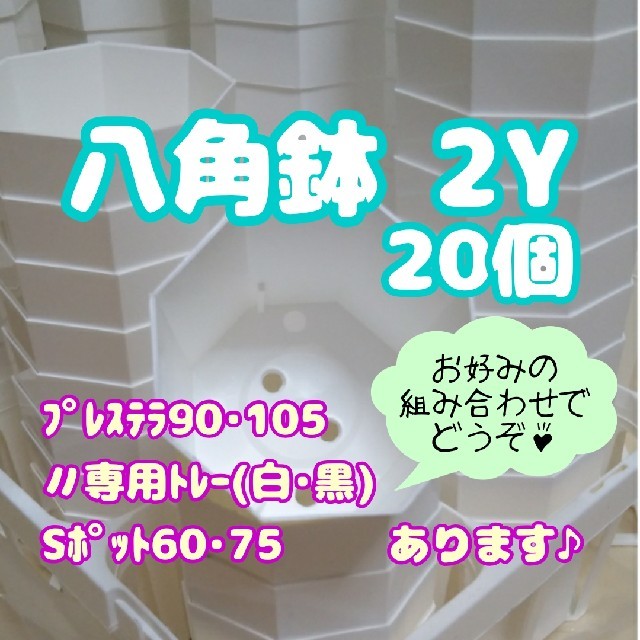 プラ八角鉢 カネヤ【2Y】20個 多肉植物 ハンドメイドのフラワー/ガーデン(プランター)の商品写真