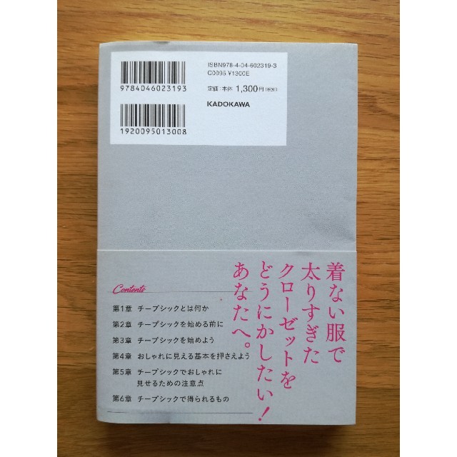 お金をかけずにシックなおしゃれ ２１世紀のチープシック エンタメ/ホビーの本(ファッション/美容)の商品写真