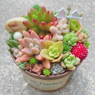 ★★モリモリ❤️リメイク缶★寄せ植え★このまま飾れます★多肉植物 ★★モリモリ❤️リメイク缶★寄せ植え★このまま飾れます★多肉植物