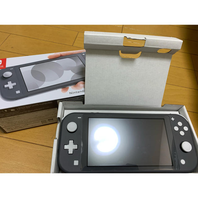 Switch lite