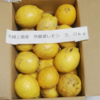 広島県大崎上島産無農薬レモン3.0kg(フルーツ)