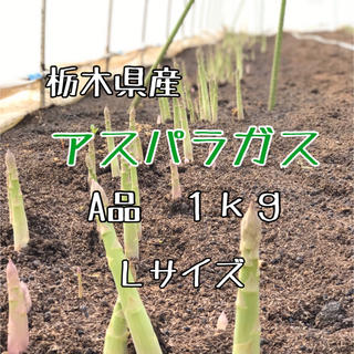 栃木県産アスパラガス(野菜)