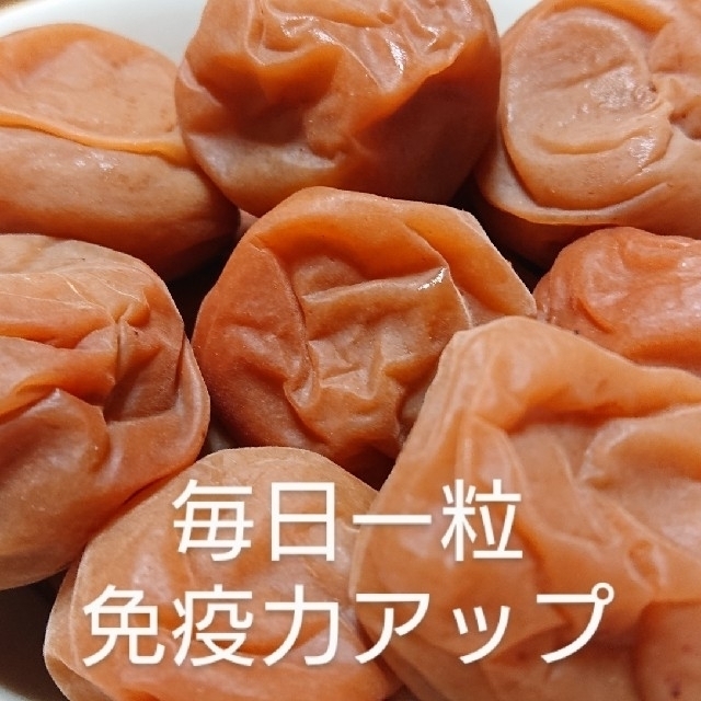 梅干し  白(紅南高梅)  500g 食品/飲料/酒の加工食品(漬物)の商品写真