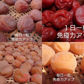 梅干し  よくばり ハーフ&ハーフ  250g×2(漬物)