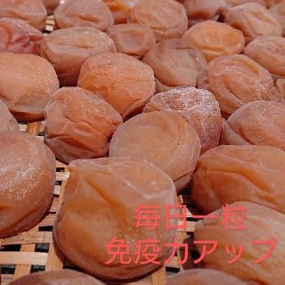 梅干し  白(南高梅)  500g(漬物)