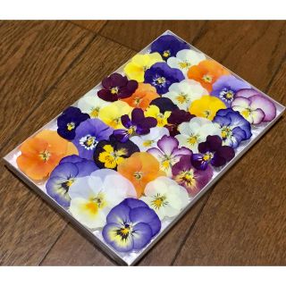 お花屋さんが作ったビオラのドライフラワー  ⑨(ドライフラワー)