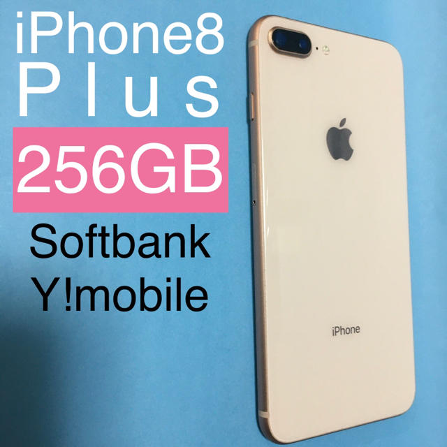 iPhone8 64GB ソフトバンク Ｙモバイル www.krzysztofbialy.com