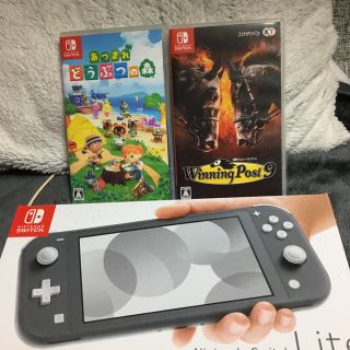 「ニンテンドースイッチライト あつまれ どうぶつの森 ...