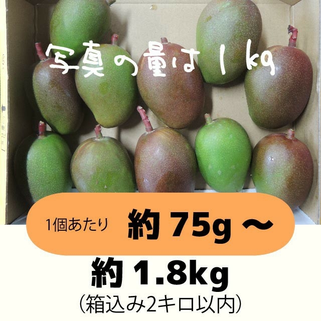 ［橙2-1］約1.8キロ　グリーンマンゴー 青マンゴー　加工用　マンゴー 食品/飲料/酒の食品(フルーツ)の商品写真