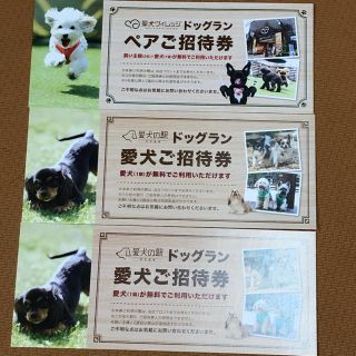 愛犬ヴィレッジ　愛犬の駅　ドッグラン招待券セット(犬)