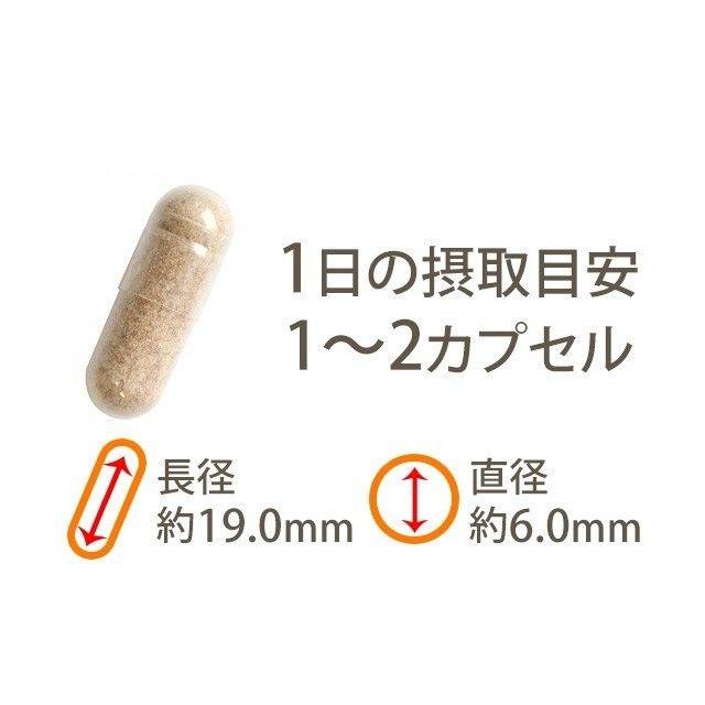 蜂の子 サプリ 約3か月分 食品/飲料/酒の健康食品(その他)の商品写真