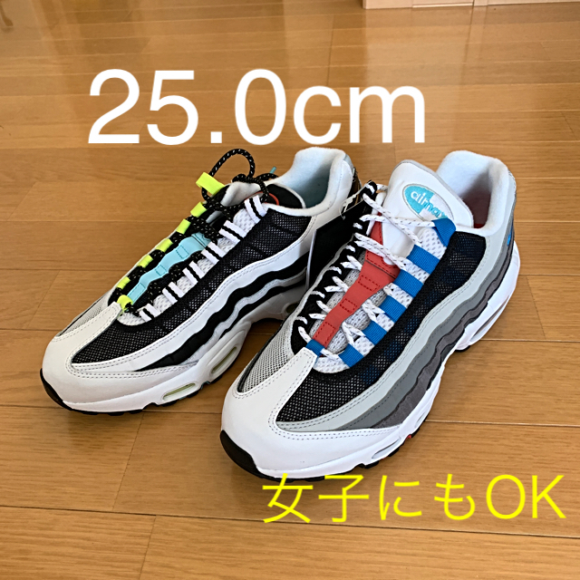 NIKE AIR MAX 95 GREEDY 25.0cm エアマックス95