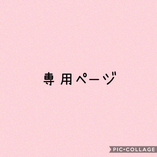 ぴょん様専用ページ その他のその他(その他)の商品写真