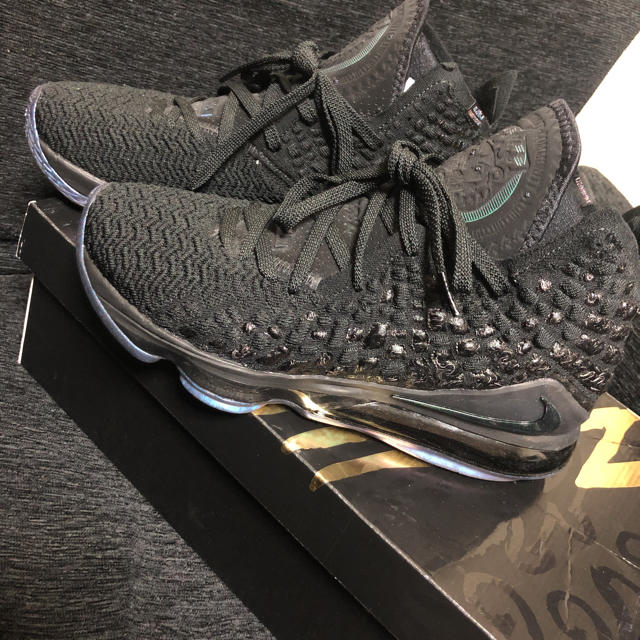 NIKE lebron 17 CURRENCY 29cm