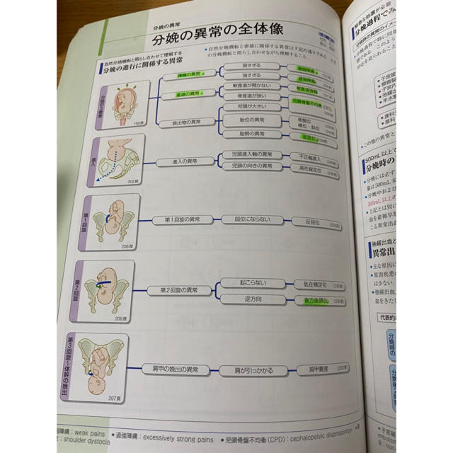 病気がみえる　産科 エンタメ/ホビーの本(健康/医学)の商品写真