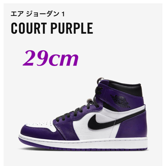 29cm  Court Purple NIKE AIR JORDAN ジョーダン