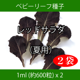 ベビーリーフ種子 B-15 レッドサラダ（夏用） 1ml 約600粒 x 2袋(野菜)