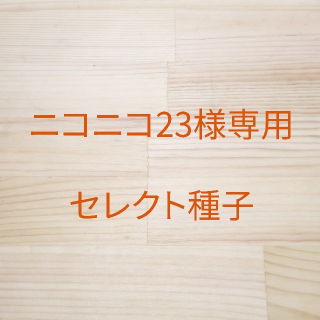 ニコニコ23様専用 B-20 赤茎ミズナ x 2 、B-35レッドケール x 1 食品/飲料/酒の食品(野菜)の商品写真