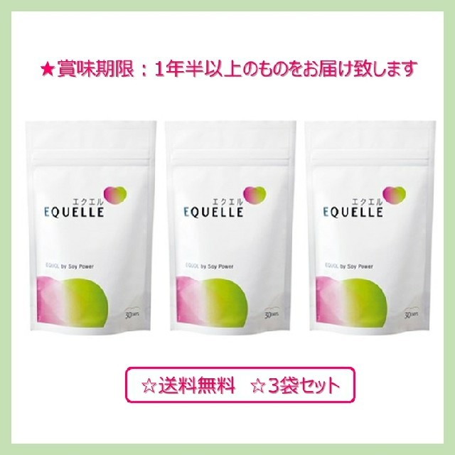 在庫あり即日出荷 大塚製薬 エクエル パウチ120粒30日分 ×3袋