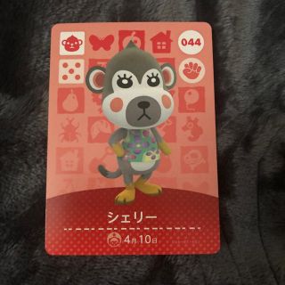 ニンテンドウ(任天堂)のどうぶつの森 amiiboカード シェリー(その他)