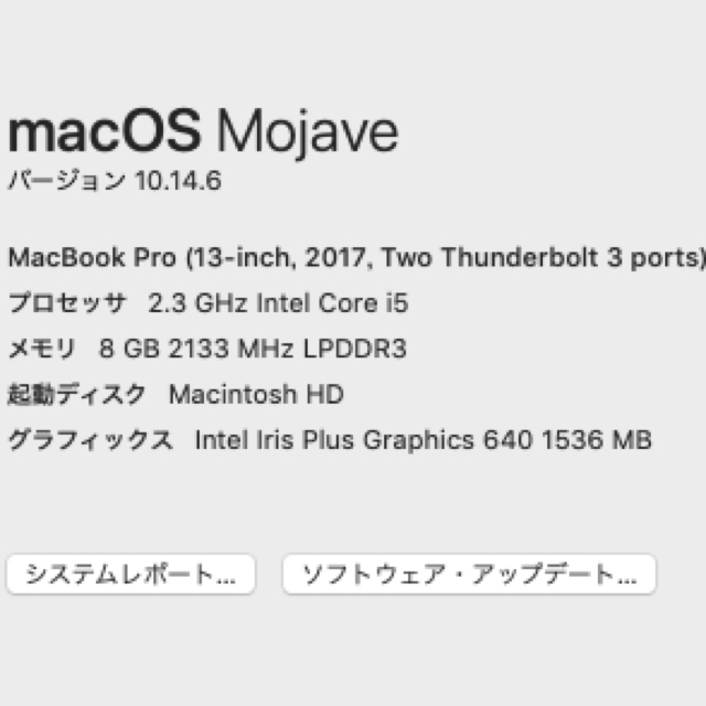 Apple(アップル)のApple MacBook Pro 13-inch, 2017 スマホ/家電/カメラのPC/タブレット(ノートPC)の商品写真