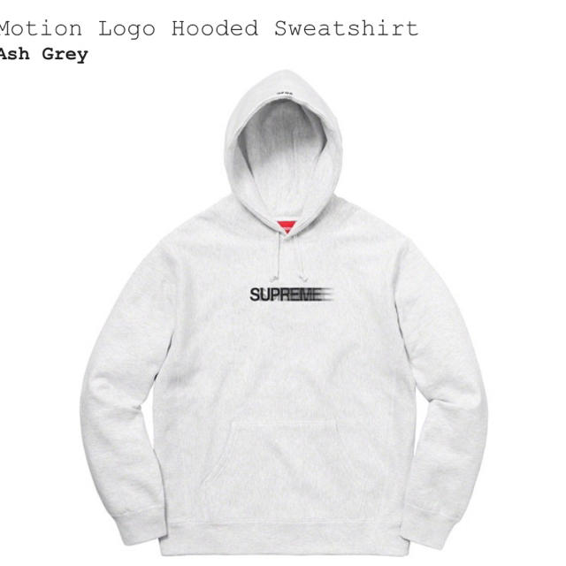 Supreme Motion Logo Hooded Sweatshirt L